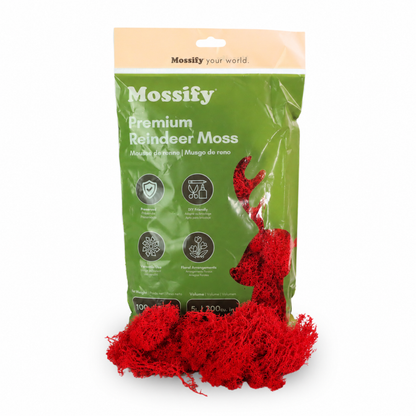 Sachet de Mousse de Rennes Premium