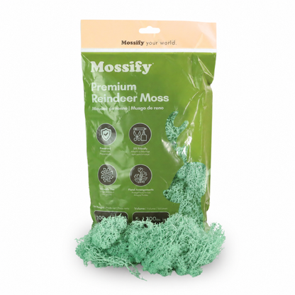 Sachet de Mousse de Rennes Premium