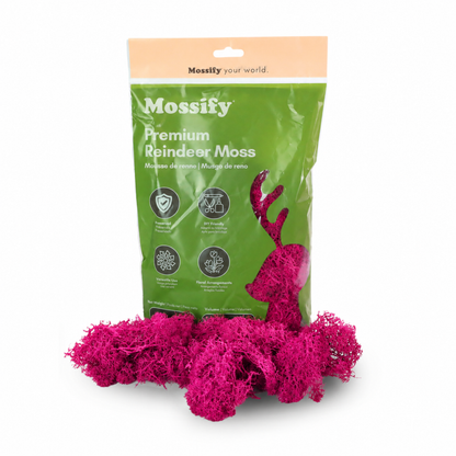 Sachet de Mousse de Rennes Premium