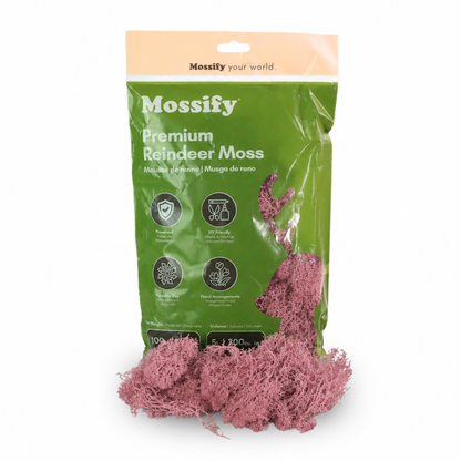 Sachet de Mousse de Rennes Premium
