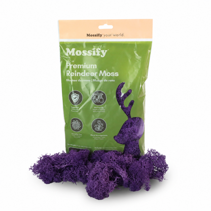 Sachet de Mousse de Rennes Premium