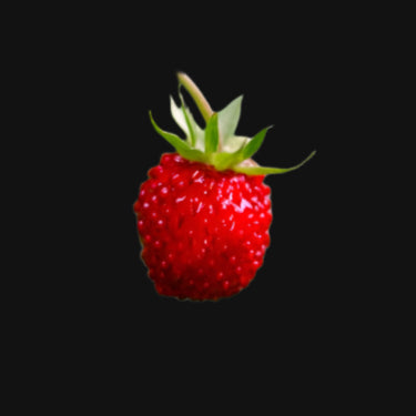 Fraise des bois (alpine rouge)
