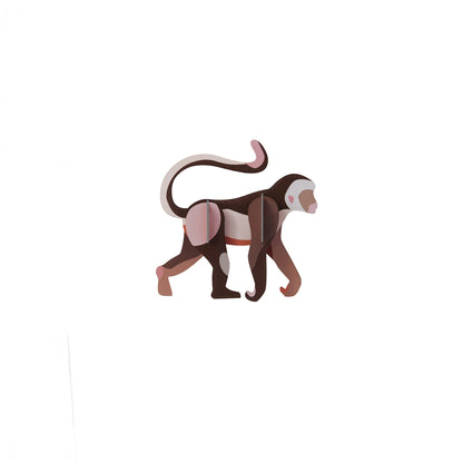 Animal sauvage - Singe