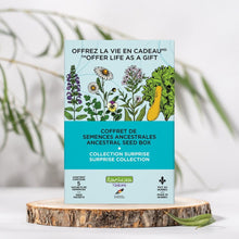 Surprise Seed Box | Garden Discoveries