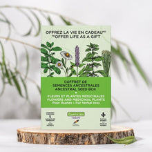 Flower and Medicinal Plant Seed Set | For herbal teas and more