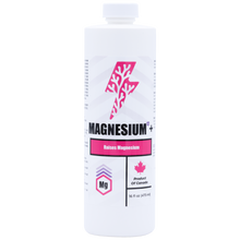 Magnesium¹²+