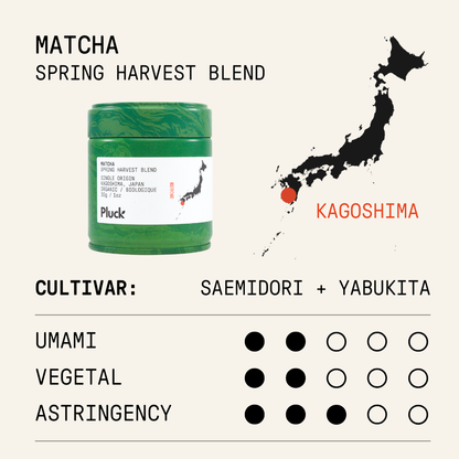 Matcha biologique « Récolte de printemps »