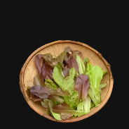 Mélange mesclun
