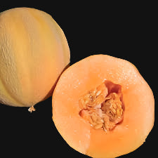 Melon nain du Minnesota
