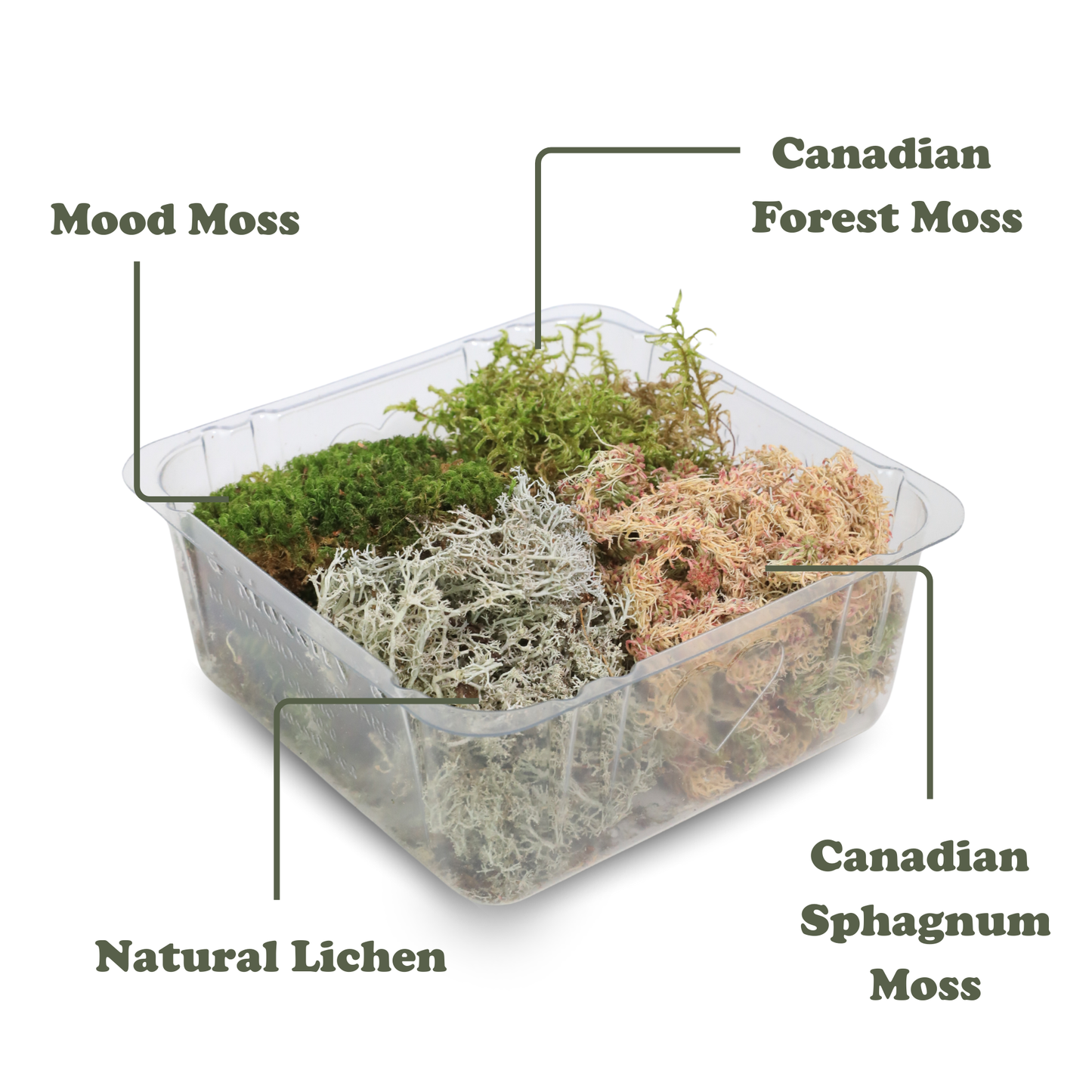 Pack Mixte Revita-Moss™