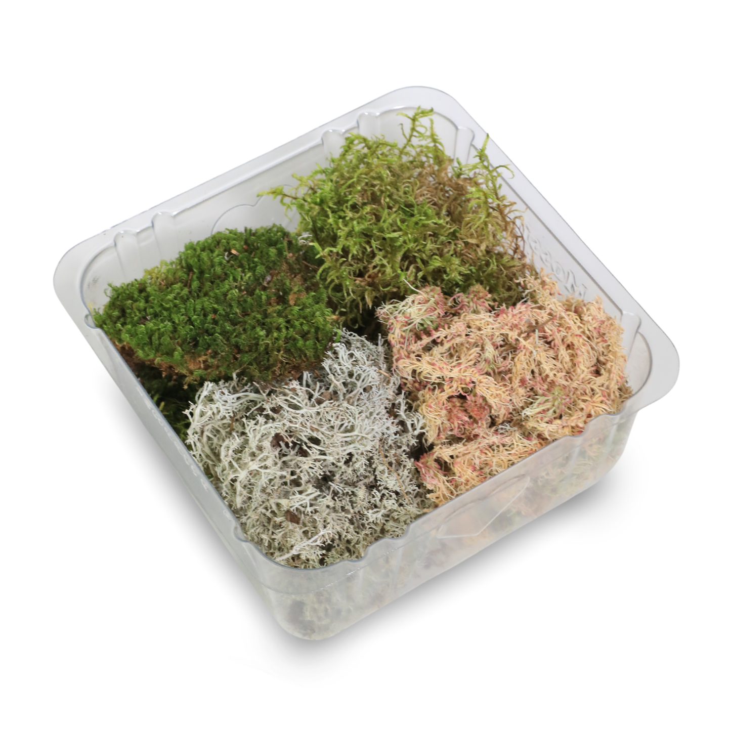 Pack Mixte Revita-Moss™