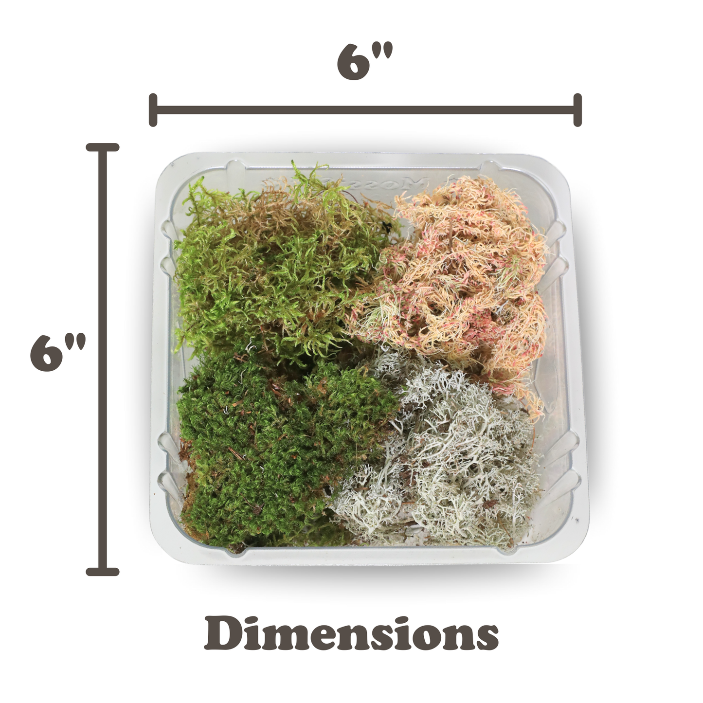 Pack Mixte Revita-Moss™