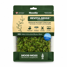 Mousse de sphaigne - Revita-Moss (Dicranum)