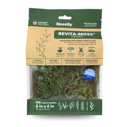 Mousse de sphaigne - Revita-Moss (Dicranum)