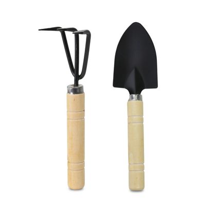 Kit de terrarium Mossify