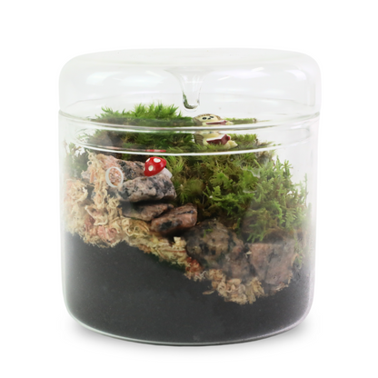 Mousse de sphaigne - Revita-Moss (Dicranum)