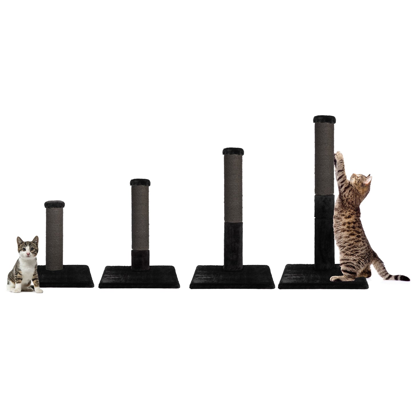 Noba Evolution - Arbre à chat 4 en 1 - Peluche noire