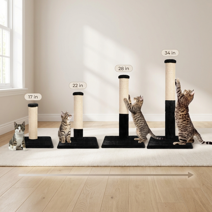 Noba Evolution - Arbre à chat 4 en 1 - Peluche noire