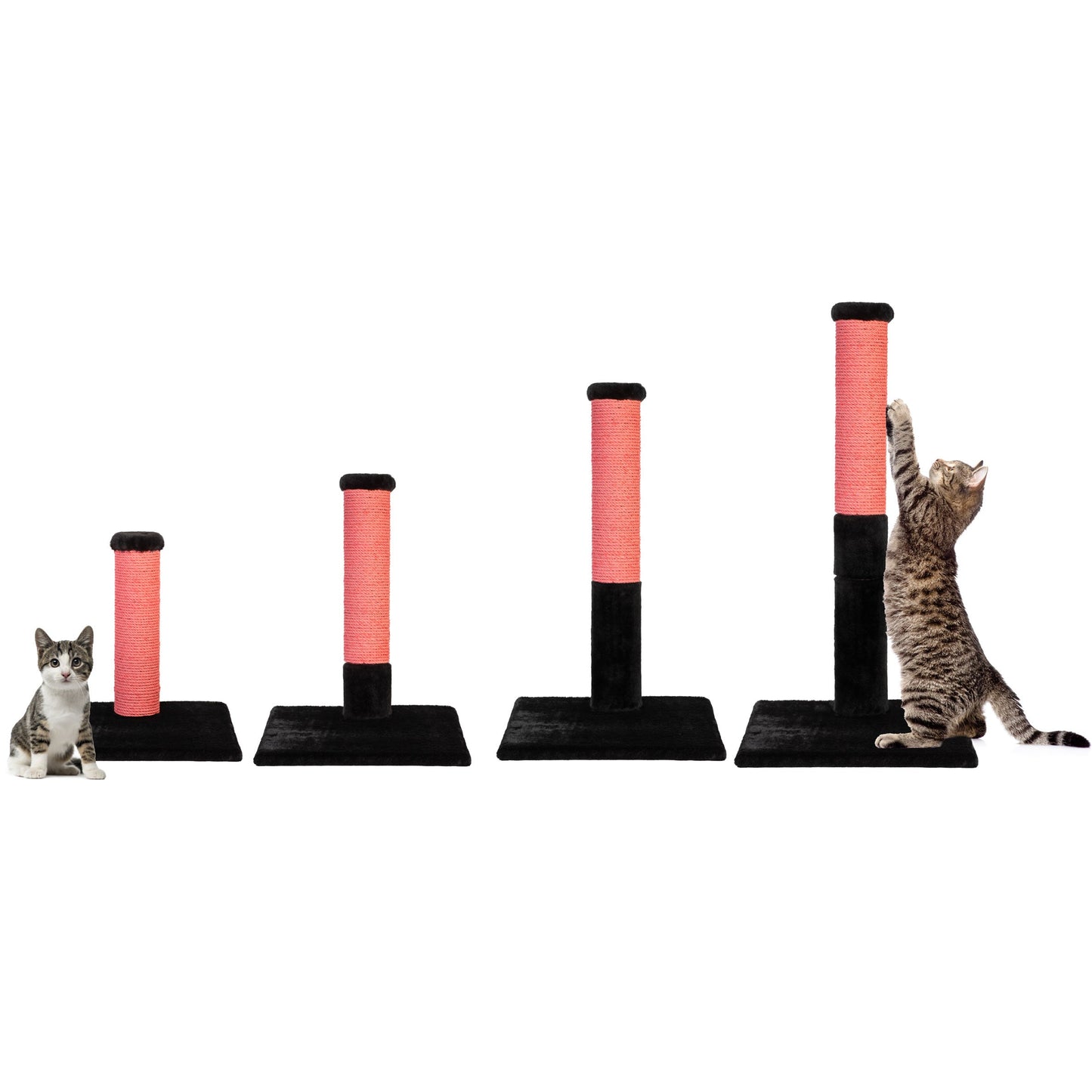 Noba Evolution - Arbre à chat 4 en 1 - Peluche noire