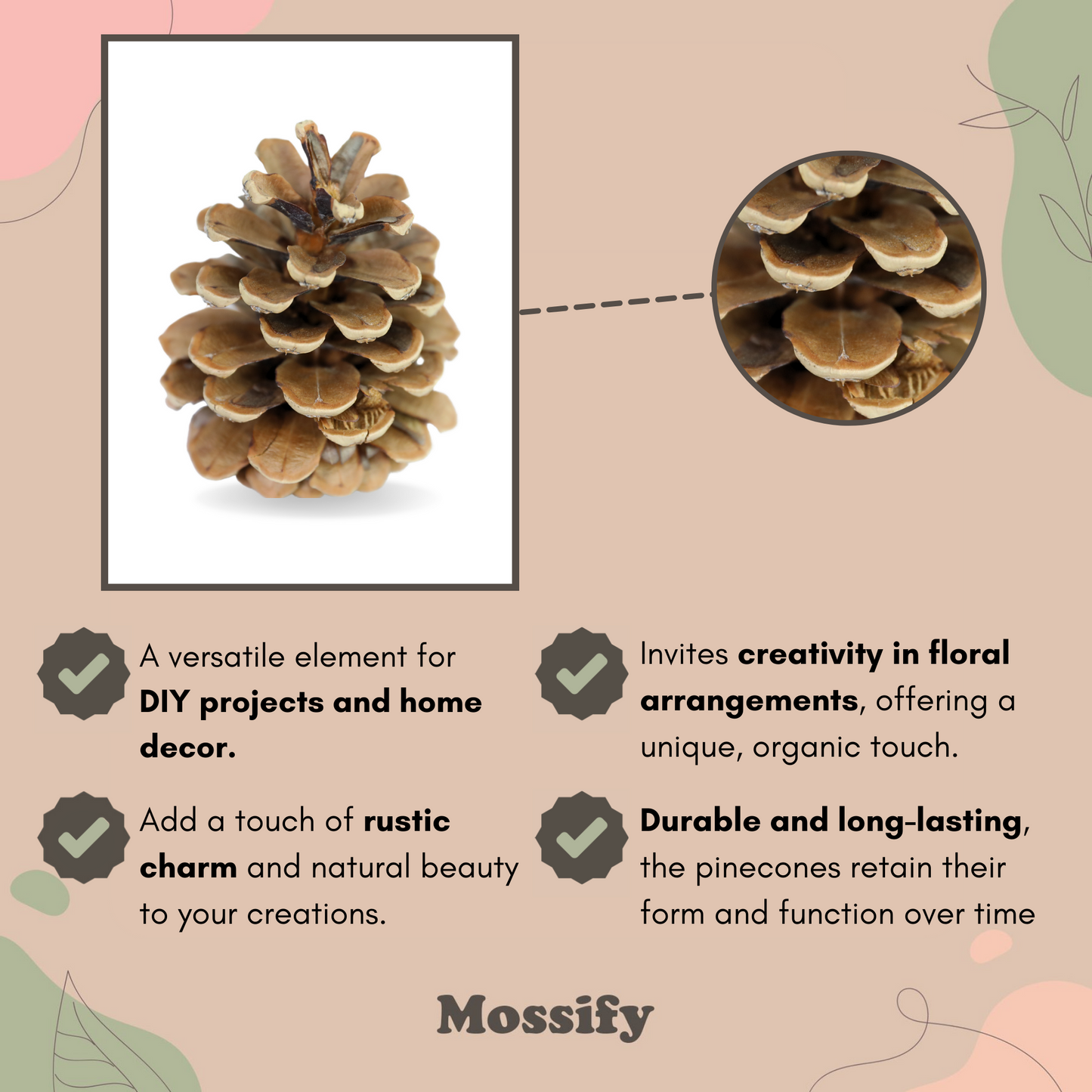Pinecones - Natural & Frosted