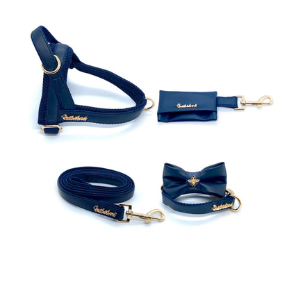 Harnais pour chien Neptune en un clic