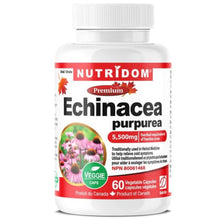Nutridom ÉCHINACÉE POURPRE, 60 capsules végétales
