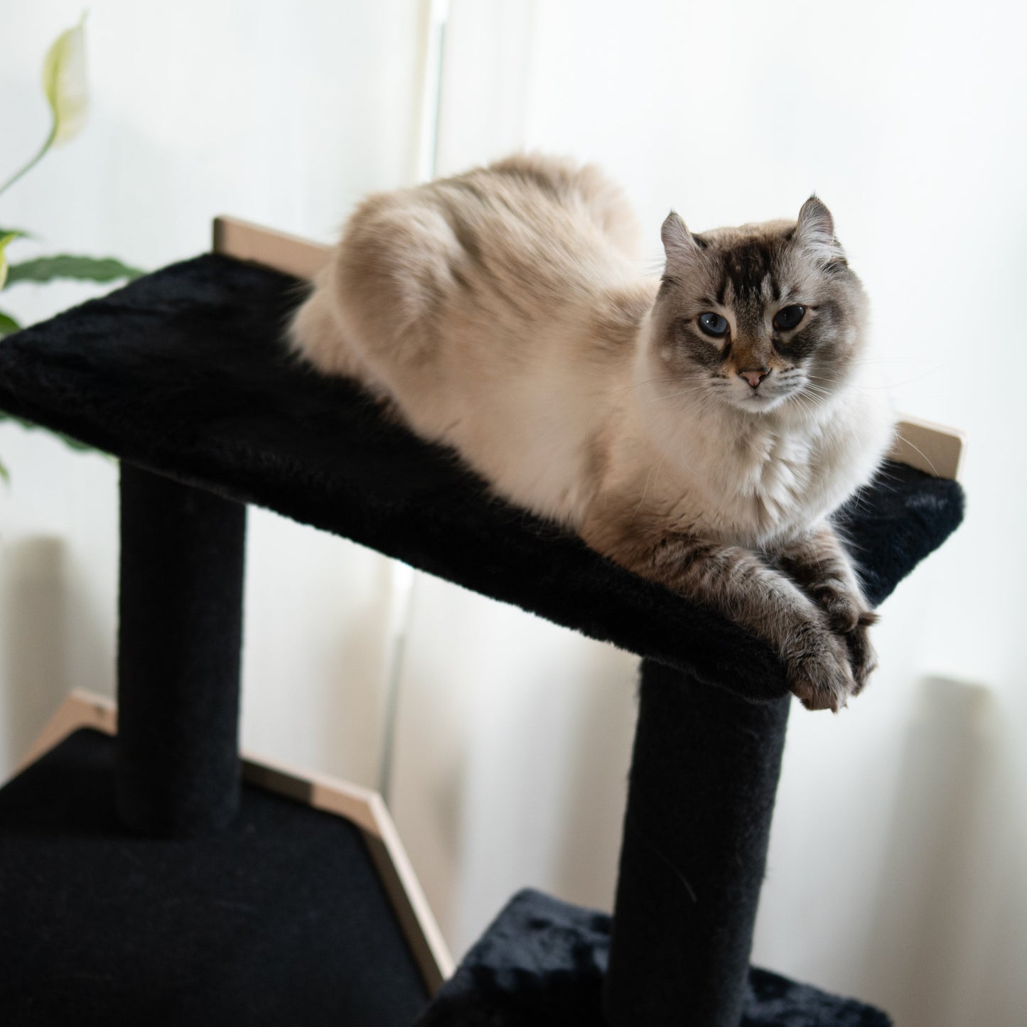Arbre à Chat Hexagon House à 4 Niveaux