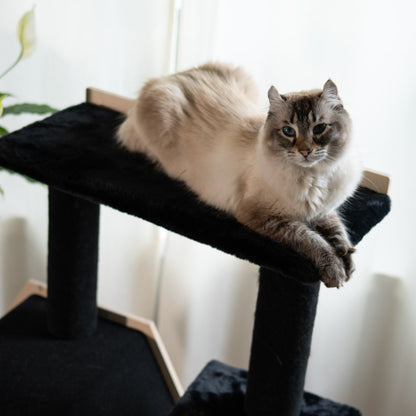 Arbre à Chat Hexagon House à 4 Niveaux
