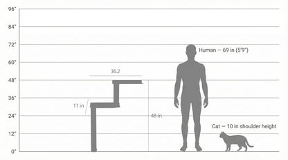Parcours mural pour chat avec griffoir