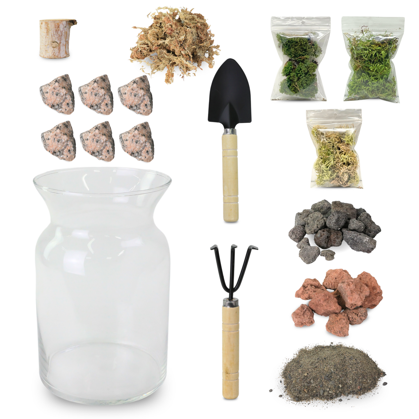 Kit de terrarium Mossify