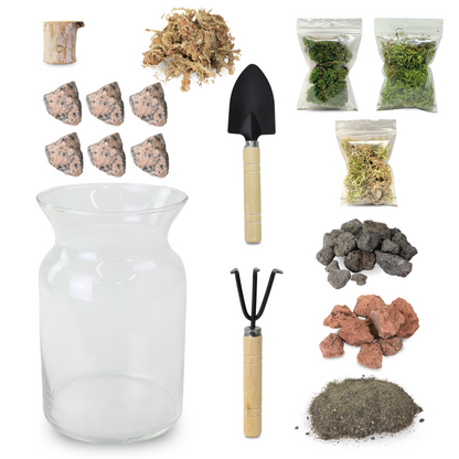 Kit de terrarium Mossify