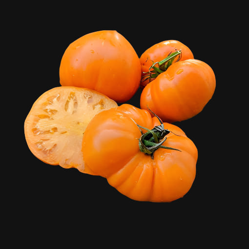 Tomate Beefsteak orange