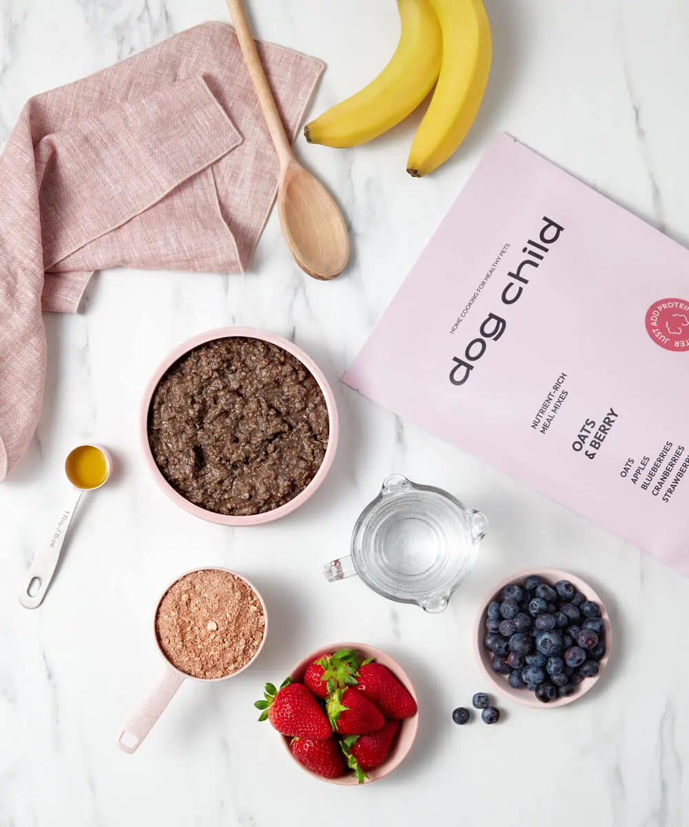 Oats & Berries Meal Mix For Dogs