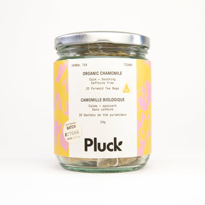 Camomille biologique