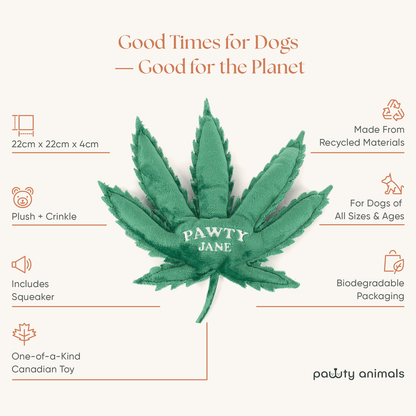 Jouet pour chien Pawty Jane