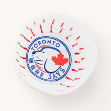 NOUVEAU jouet indestructible pour chien Woofjays de Toronto
