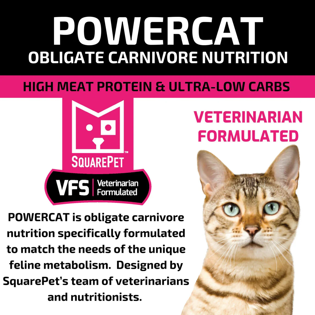 SquarePet - Feline Herring & Salmon Dry Cat Food