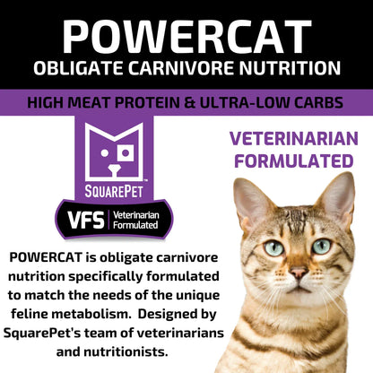 SquarePet - Feline Turkey & Chicken Dry Cat Food