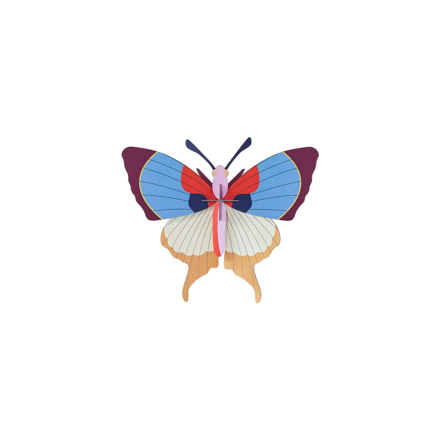 Plum Fringe Butterfly