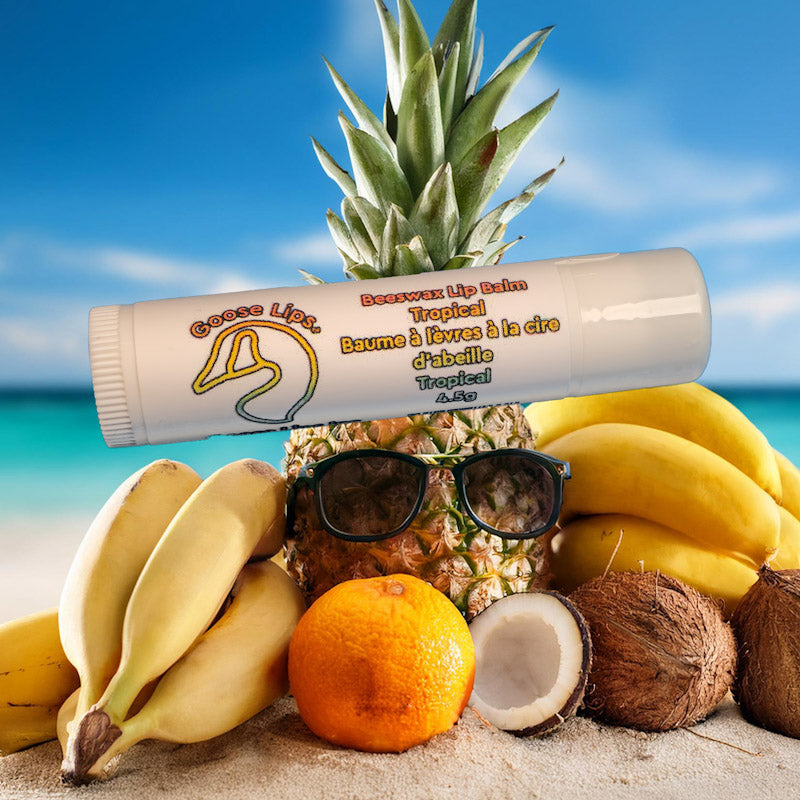 Baume à Lèvres Tropical