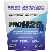 MÉLANGE D'HYDRATATION PVL PROH2O, 72 portions