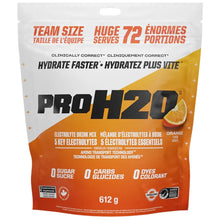 MÉLANGE D'HYDRATATION PVL PROH2O, 72 portions