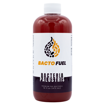Bactéries vivantes Palustris - Carburant Bacto