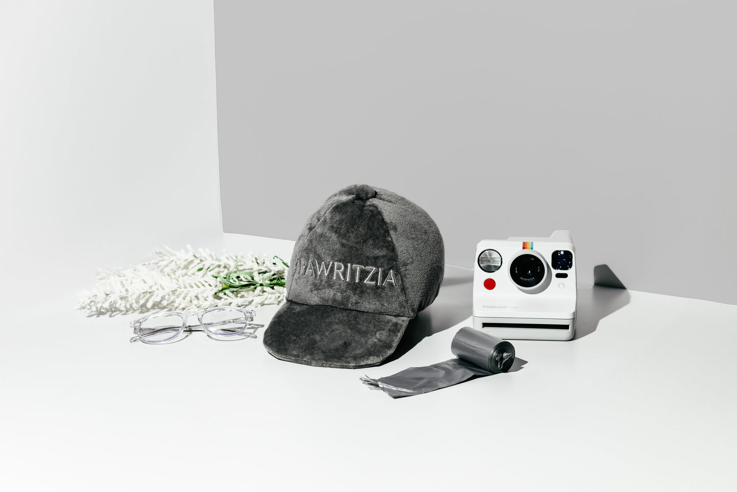 NOUVELLE ÉDITION LIMITÉE Chapeau Pawritzia écologique animaux de fête - Jouet pour chien