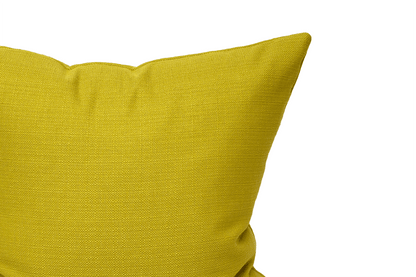 Housse de coussin Pomme verte