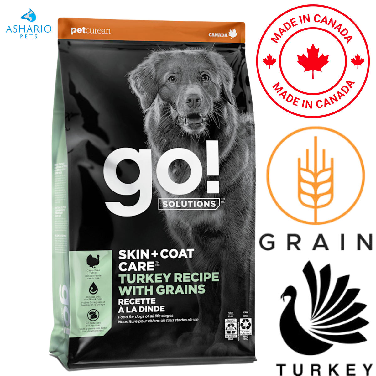 Go! Solutions - Skin + Coat Care Turkey With Grains Dry Dog Food