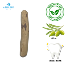 Zaytoon - Olive Wood Dog Chew
