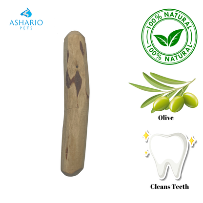 Zaytoon - Olive Wood Dog Chew