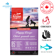 Orijen - Puppy Large Breed Dry Dog Food