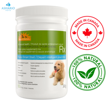 Wellytails - Puppy Smart Start Rx Dog Supplement